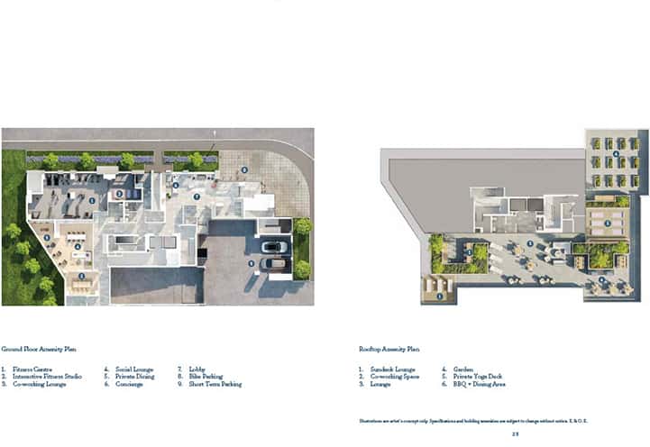 Layout