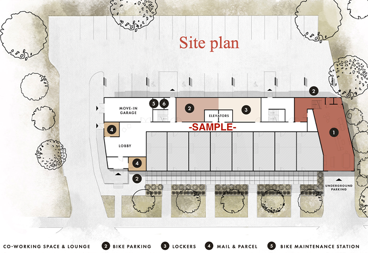 Layout